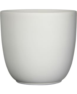 MICA TUSCA K16D17CM VALKOINEN RUUKKU Main Image