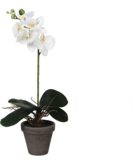 MICA 48X13CM ORKIDEA TEKOKUKKA Main Image