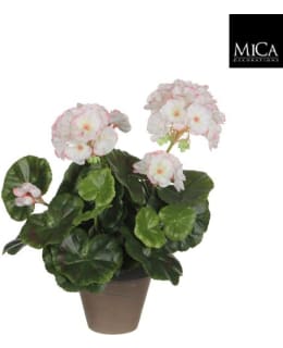 MICA GERANIUM WHITE PI 34X20CM TEKOKASVI Main Image