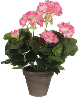 MICA GERANIUM PINK WHI 34X20CM TEKOKASVI Main Image