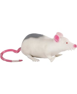 POCKET MONEY 12CM HIIRI Main Image