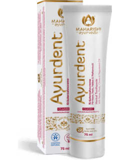 AYURDENT CLASSIC TOOTHPASTE Main Image