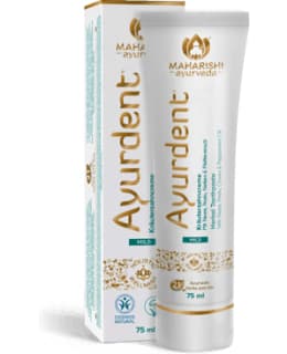 AYURDENT MILD TOOHTPASTE Main Image