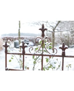 HORTEX 54 X K.165 CM 5-SAKARAINEN AITA Main Image