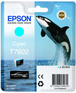 EPSON T7602 CYAN MUSTEPATRUUNA Main Image