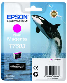 EPSON T7603 VIVID MAGENTA MUSTEPATRUUNA Main Image