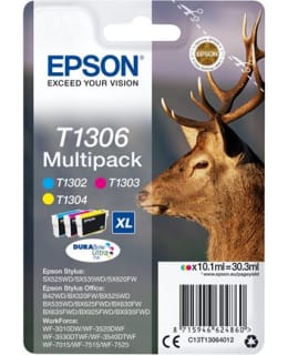 EPSON T1306 KOLMIVÄRIPAKKAUS Main Image