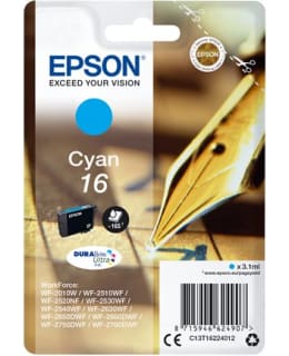 EPSON 16 SYAANI MUSTEPATRUUNA Main Image