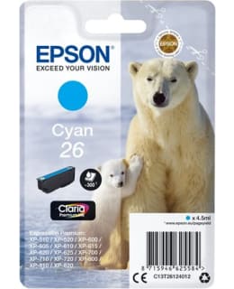 EPSON 26 SYAANI MUSTEPATRUUNA Main Image