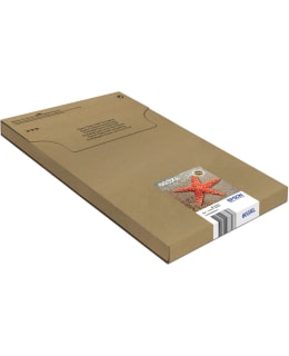 EPSON MULTIPACK 4-COLOURS 603XL EASYMAIL Main Image