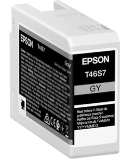 EPSON SINGLEPACK GRAY T46S7 ULTRACHROME Main Image