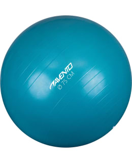 AVENTO JUMP BALL 75 CM Main Image