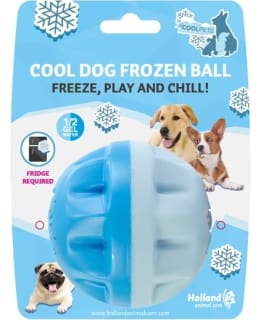 CoolPets Cooling Frozen Ball Main Image