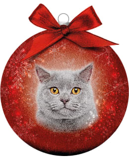 BAUBLE XMAS FROSTED CL CAT GREY Main Image