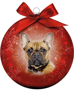 BAUBLE XMAS FROSTED CL FRENCH B Main Image