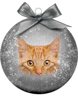 BAUBLE XMAS FROSTED CL CAT RED Main Image