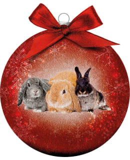 BAUBLE XMAS FROSTED CL RABBITS Main Image