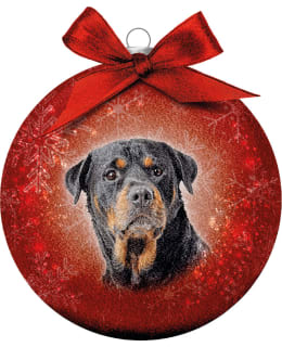 BAUBLE XMAS FROSTED CL ROTTWEILER Main Image