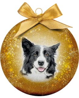 PLENTY BORDERCOLLIE JOULUPALLO HUURRE Main Image