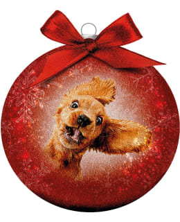 BAUBLE XMAS FROSTED CL CRAZY DOG Main Image
