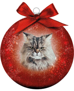 BAUBLE XMAS FROSTED CL GO AWAY Main Image