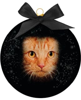 PLENTY P.KISSANSILMÄT JOULUPALLO HUURRE Main Image