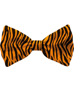 BOW TIE DOG M TIGER Main Image