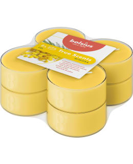 BOLSIUS TRUE SCENTS MIMOSA 8MAX LÄMPÖKYN Main Image