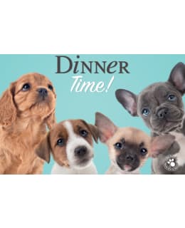 PLENTY DINNER TIME! ALUSTA Main Image