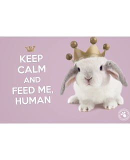 PLACEMAT STUDIO PETS KONIJN Main Image