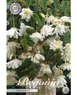 KARJALANNEITO 3KPL VALKOINEN Main Image