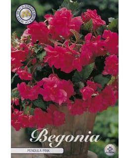 KARJALANNEITO  3KPL PINKKI Main Image