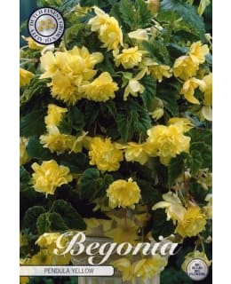 KARJALANNEITO 3KPL KELTAINEN Main Image