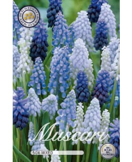 HELMILILJA 50 KPL MIXED Main Image