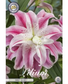 LILJA SWEET ROSY Main Image
