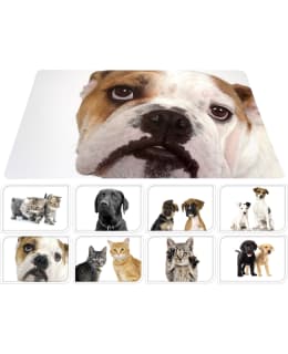 PETS CY2700880 RUOKAKUPIN ALUSTA Main Image