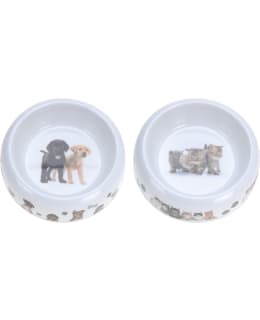 DOGS 170481340 16CM MELAM.KUPPI Main Image