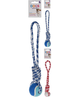 DOGS 491000880 KÖYSIPALLO LAJ. Main Image