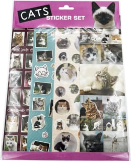 KISSA TARRASETTI Main Image