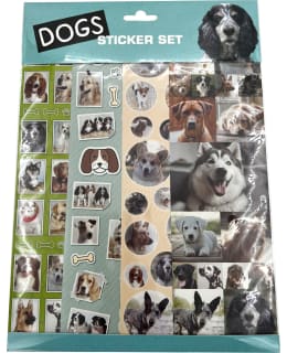 KOIRA TARRASETTI Main Image