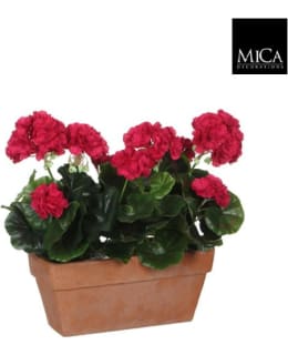 MICA GERANIUM D. PI 29X13X40CM TEKOKASVI Main Image