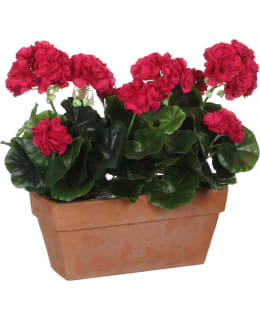 MICA GERANIUM D. PI 29X13X40CM TEKOKASVI Main Image