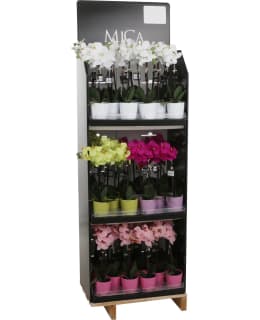 MICA ORKIDEA 42CM PINK SILKKIKUKKA Main Image