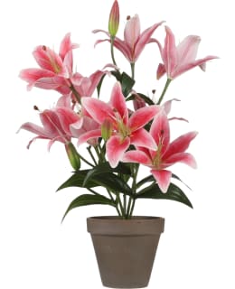 MICA TIGERLILY PINKKI  13,5CM TEKOKUKKA Main Image