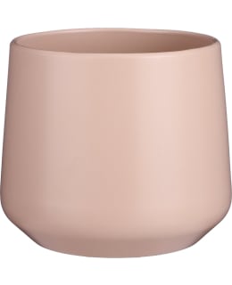 MICA AMBER 21XD23,5CM VIHREÄ RUUKKU Main Image