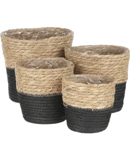 HOUSE OF SEASONS  RACHEL 18CM MUSTA KORI Main Image