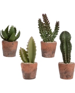 Cactus plastic 4 Main Image