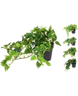 KM 317002360 25CM TEKOKUKKALAJITELMA Main Image