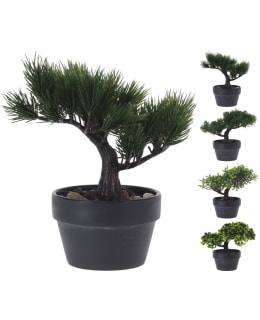 H&S 317002710 18X14X20CM LAJ. BONSAI PUU Main Image