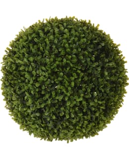 Buxus Ball Dia 30cm Main Image